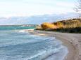 Nearest beach Nearest beach - Apartments Nin (Zadar) - 5836