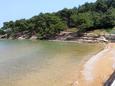 Nearest beach Nearest beach - Apartments Jelsa (Hvar) - 8765