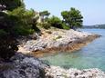 Nearest beach Nearest beach - Apartments Jelsa (Hvar) - 4608