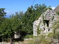 Gornji Tučepi - Podpeć Gornji Tučepi - Podpeć - Vacation Rentals Gornji Tučepi - Podpeć (Makarska) - 6915