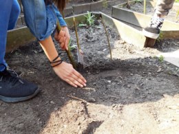 Tuin-globe-lekkerfitweek-3