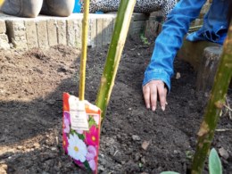Tuin-globe-lekkerfitweek-4