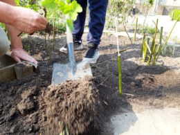 Tuin-globe-lekkerfitweek-8
