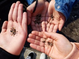 Tuin-globe-lekkerfitweek-10