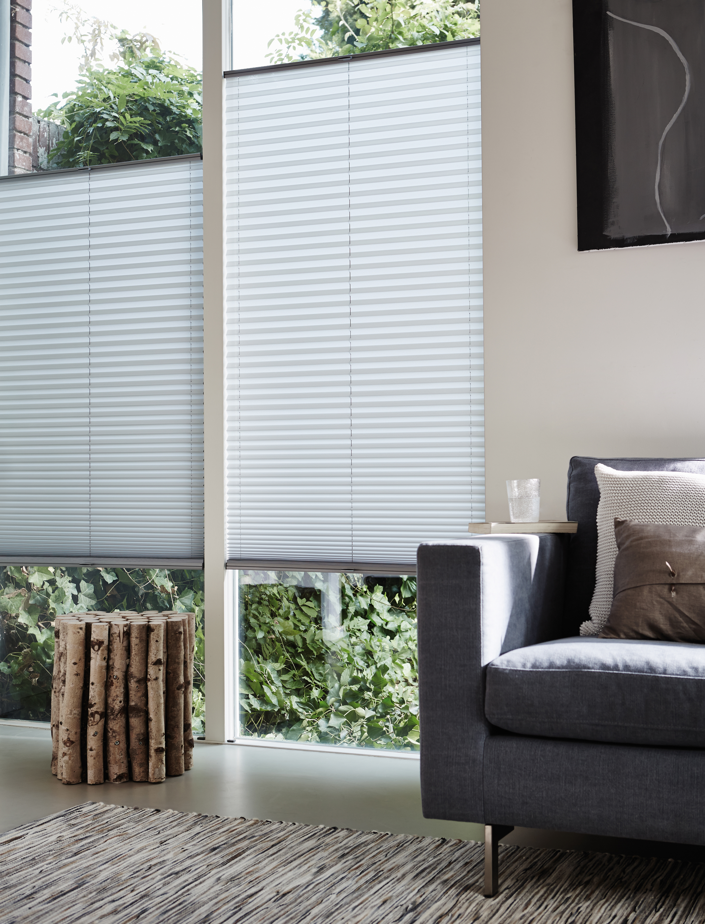 Gallery Plisse Blinds