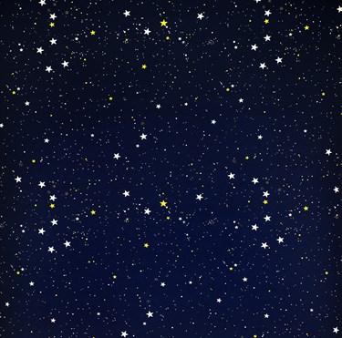 VALE for Velux Childrens Blackout Blind