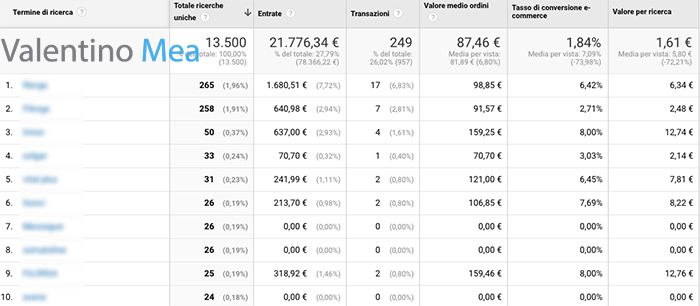 Report ricerca su sito Google Analytics