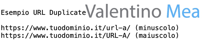 Esempio URL duplicati minuscolo e maiuscolo