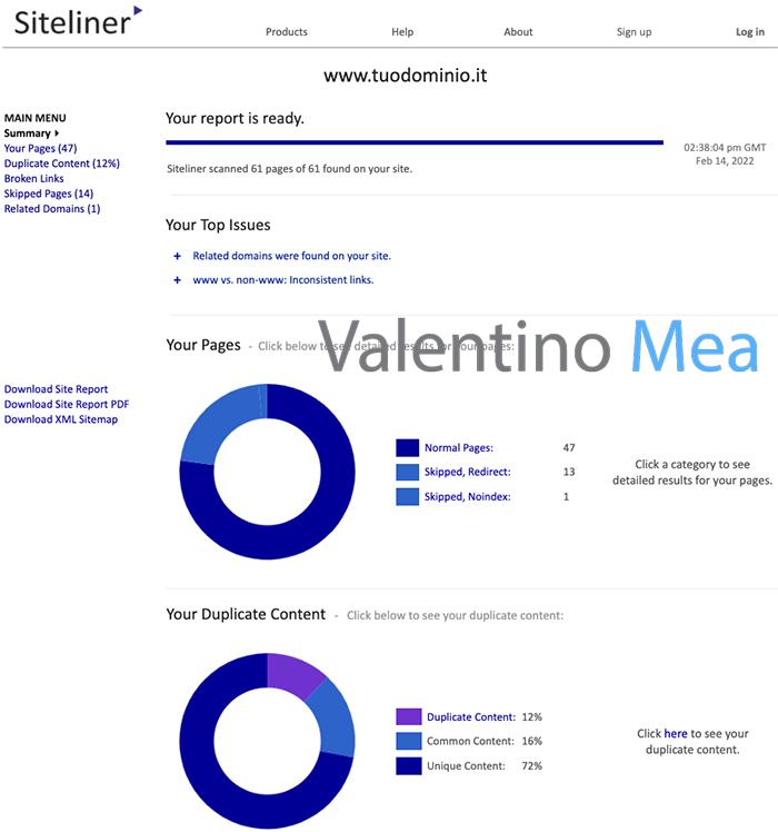 Trovare contenuti duplicati con Siteliner