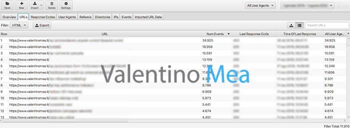 Crawl Budget Analisi Log Server
