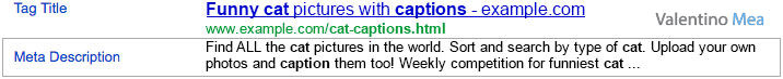 esempio meta description