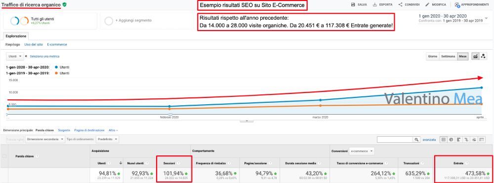 risultati consulente seo