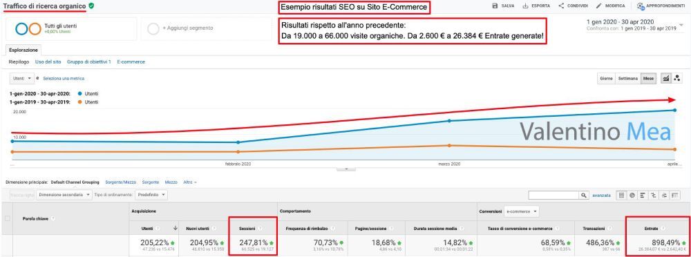 risultati seo ecommerce