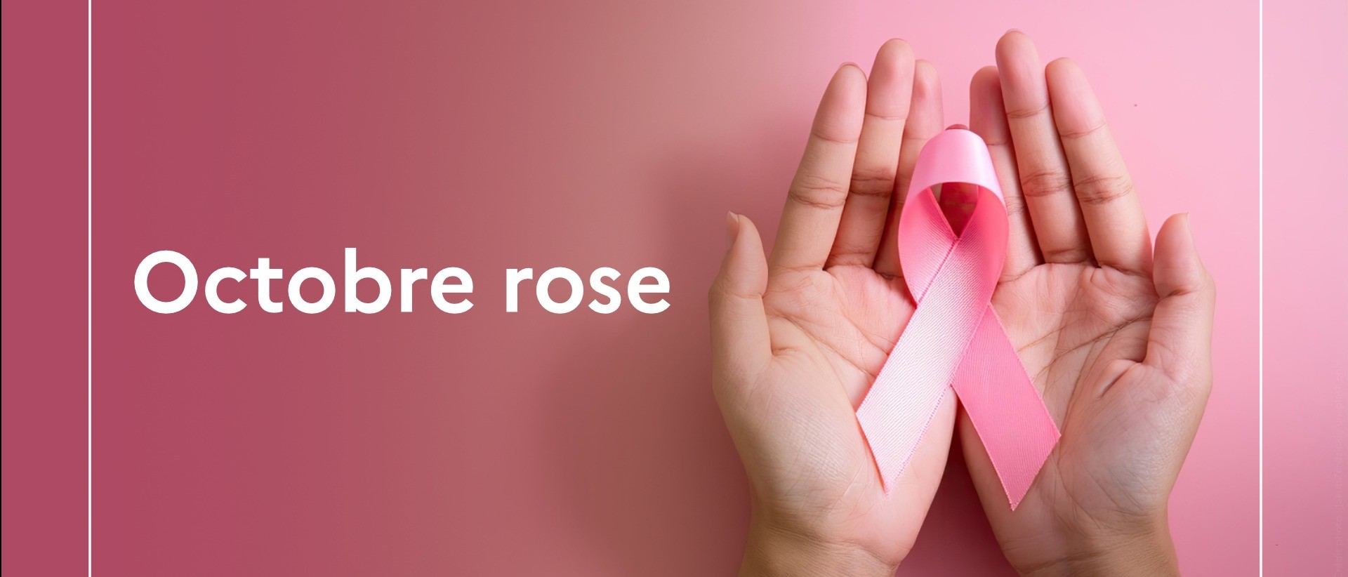 🎀 Octobre Rose  💗