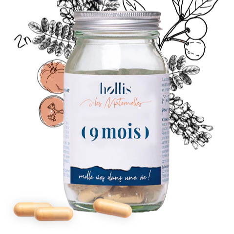 HOLLIS