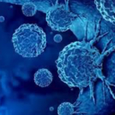 Molécules Spéciales  Traitement lourd