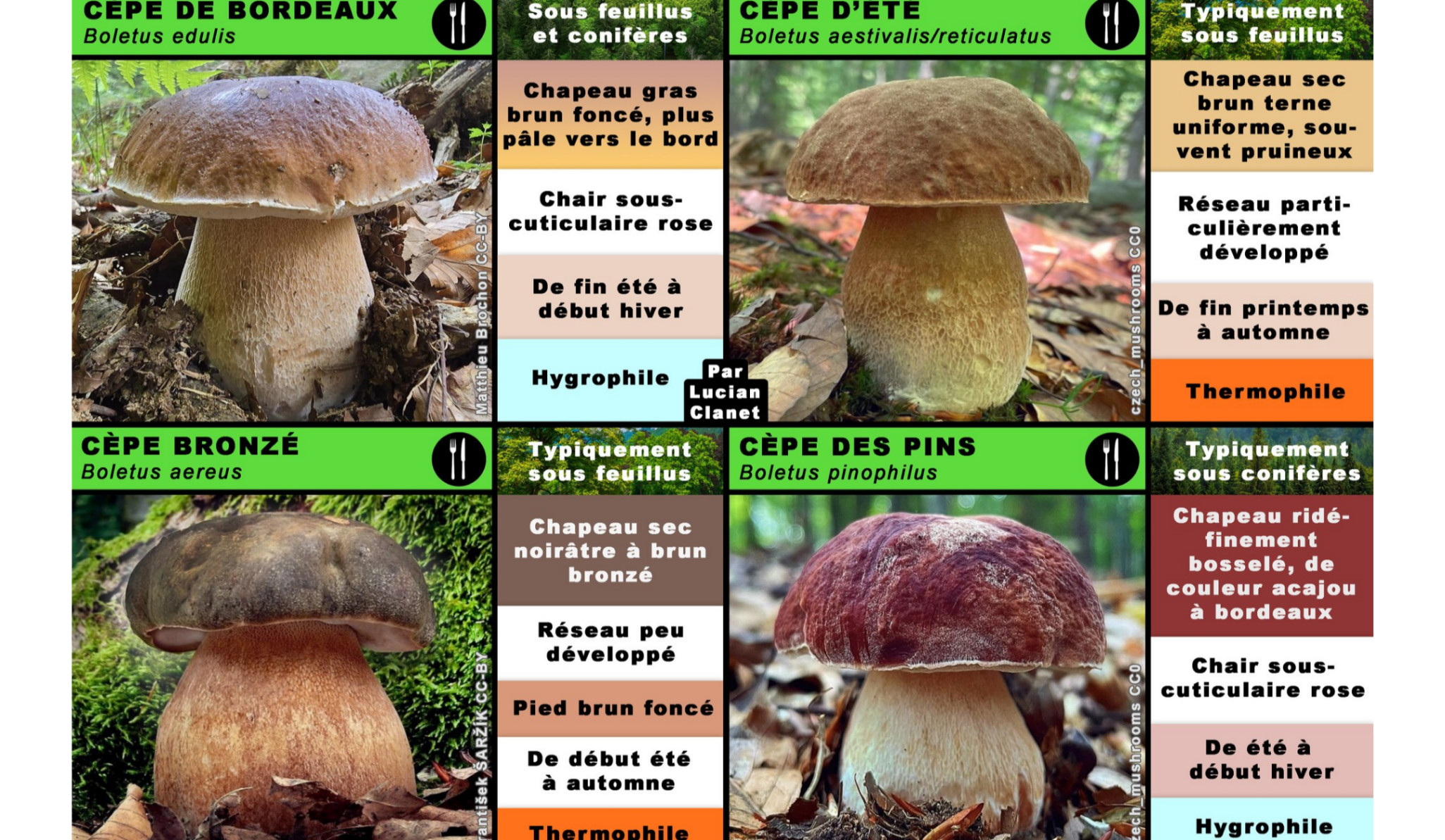 https://s3-eu-west-1.amazonaws.com/valwin/pharmacy/ph120-breda38/section/bdec4a19-5a81-4d2c-8217-7580f8649d34