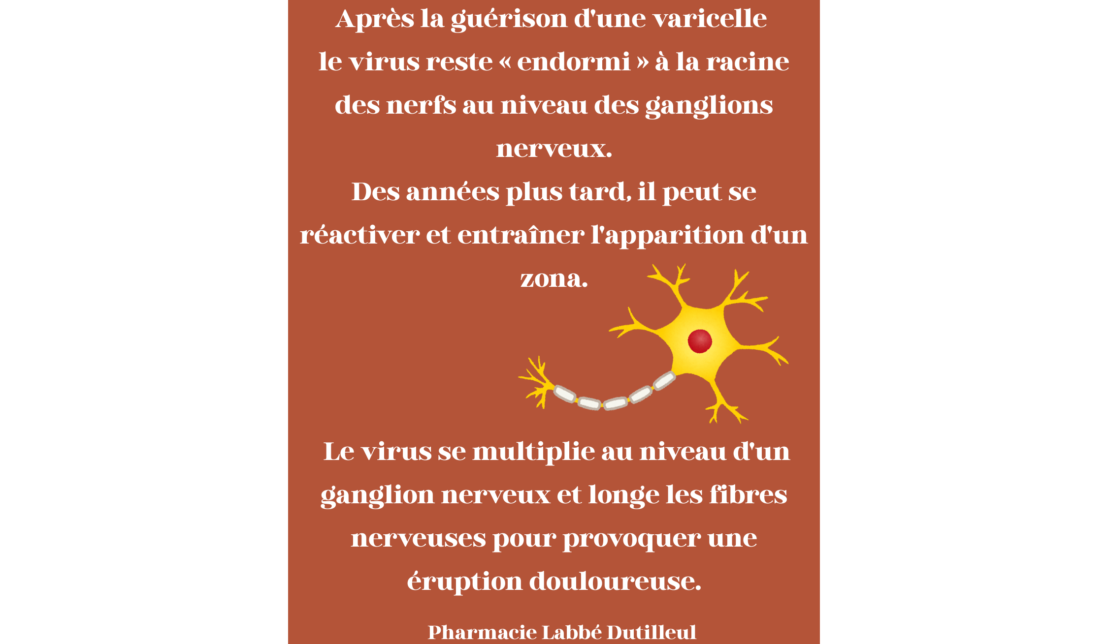 https://s3-eu-west-1.amazonaws.com/valwin/pharmacy/pharmaccord32-labbe-dutilleul-lyon/section/106b072d-1ac6-4724-bb70-8e0b1bfb1154