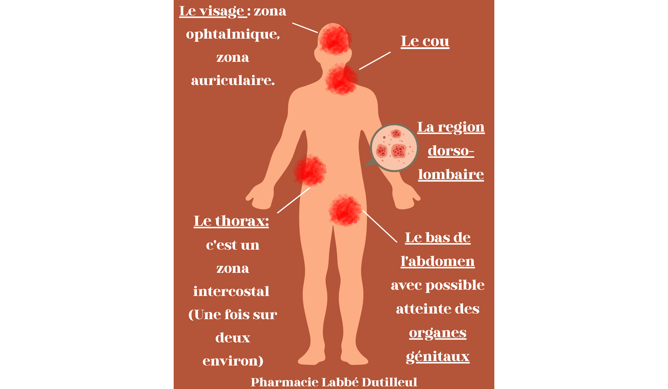 https://s3-eu-west-1.amazonaws.com/valwin/pharmacy/pharmaccord32-labbe-dutilleul-lyon/section/a3c54a03-359e-4029-877c-165eadcd10c0