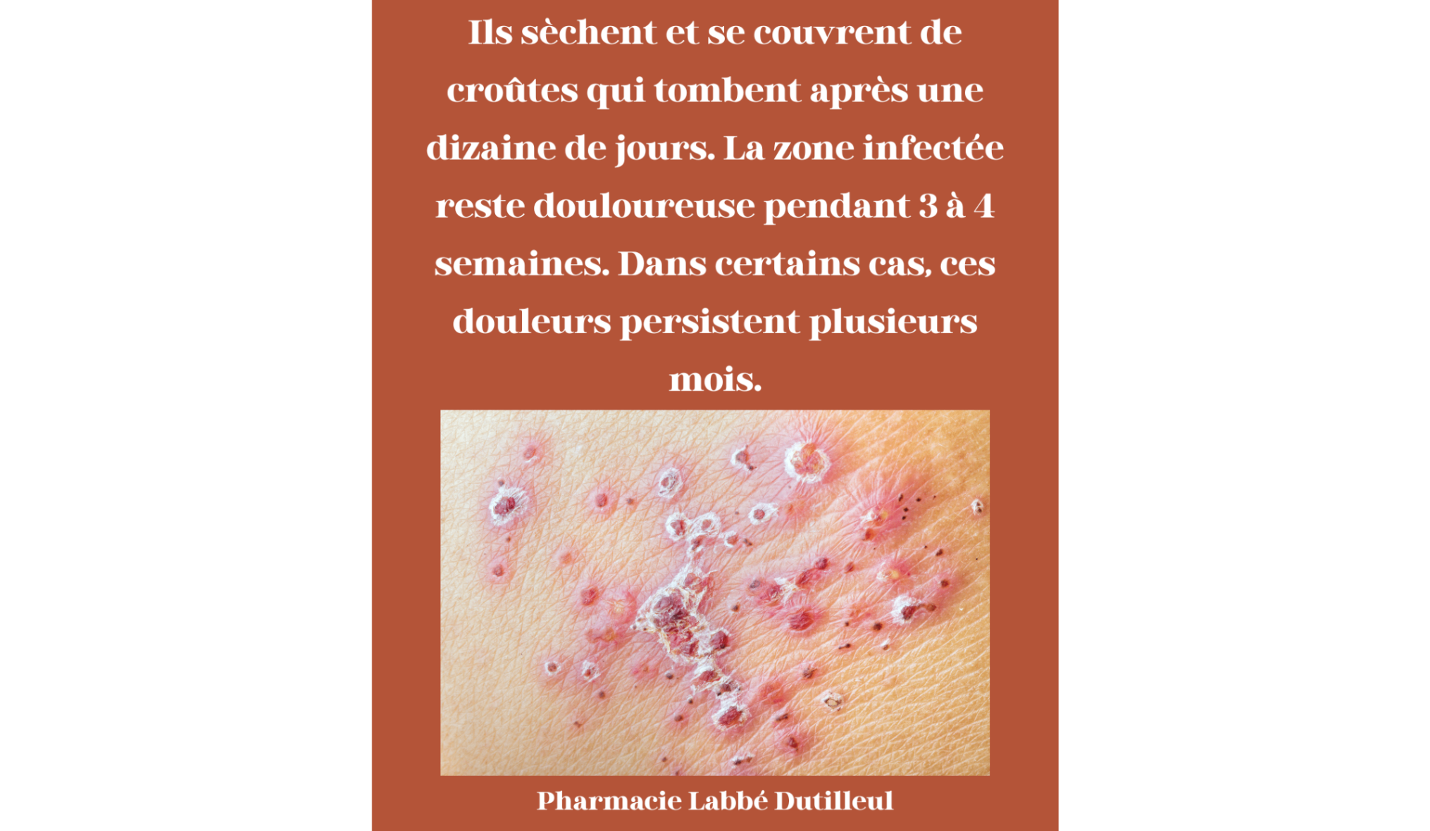 https://s3-eu-west-1.amazonaws.com/valwin/pharmacy/pharmaccord32-labbe-dutilleul-lyon/section/fc27ddd0-0fa5-4205-9a53-5c8d48148546