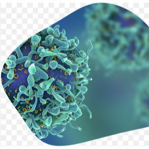 Entretien oncologie