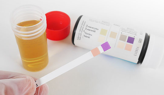 https://s3-eu-west-1.amazonaws.com/valwin/pharmacy/pharmactiv05-rimon-domloup/section/f8309440-40b3-4337-b996-a7cd0f4309c9