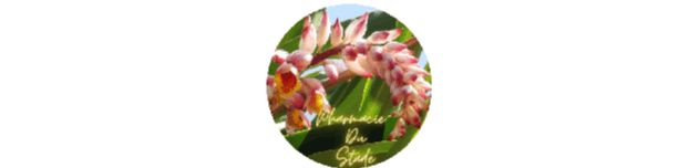Pharmacie du Stade logo