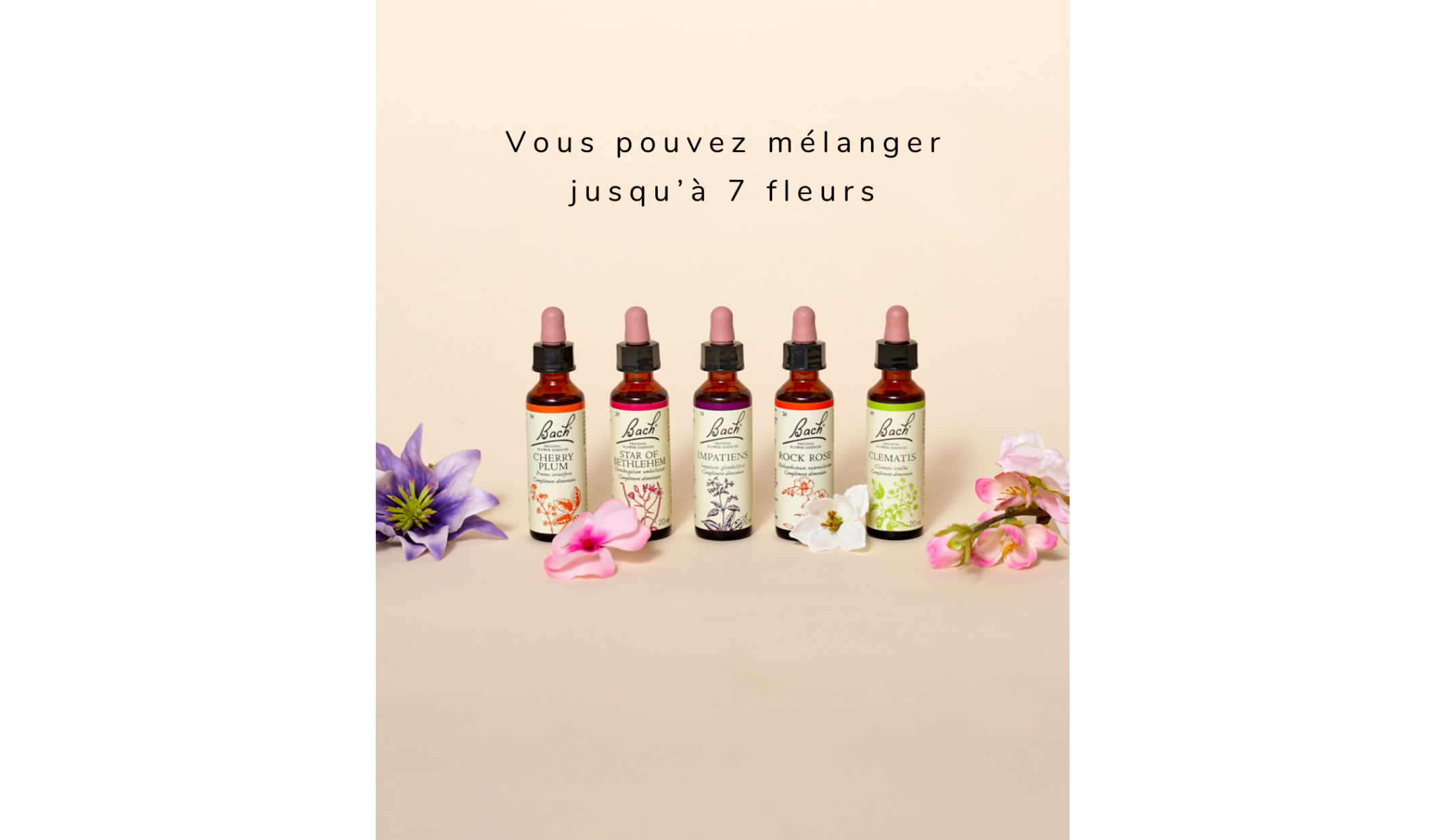 Pharmacie de la Pointe