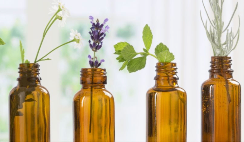 Pharmacie de la Pointe