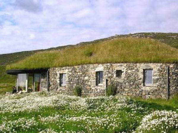 Black sheep house