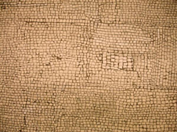 Floor mosaic, detail, V&A