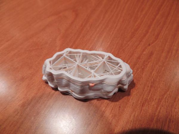 3D printed model showing internal mesh support