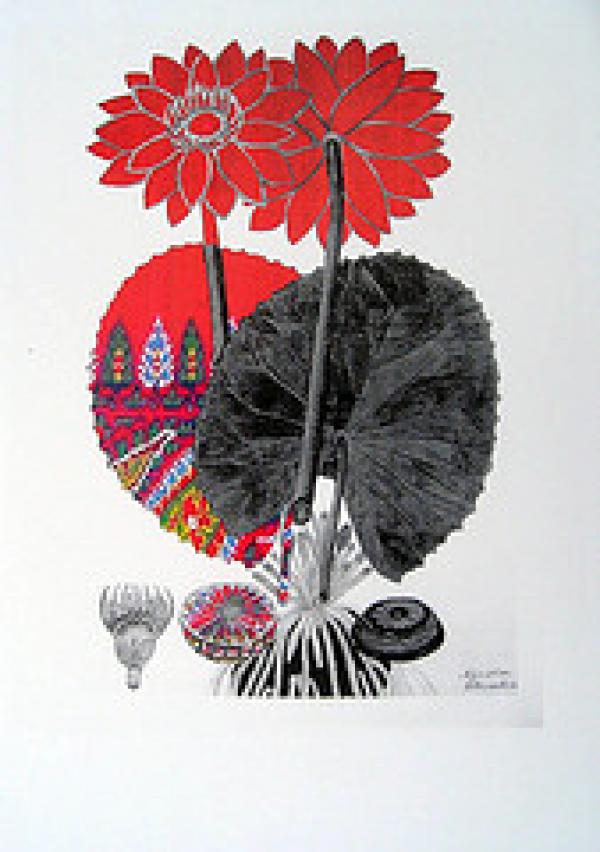 Collecting Plants, collecting textiles 2    Helen Scalway 2009