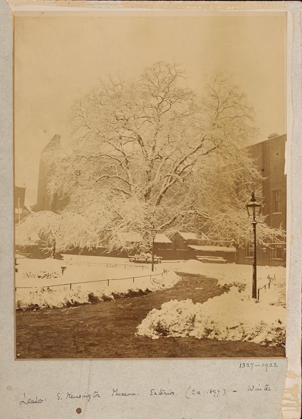 The South Kensington Museum’s gardens around 1897