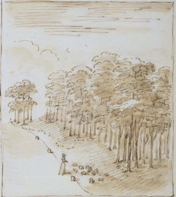 Landscape with sheep at Esher, drawing by William Kent, about 1730-35. Museum number  E.391-1986