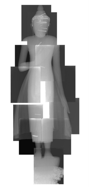 X-ray photographs taken from the front mapped together to see the whole figure.