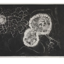CIS:E.2547-2007