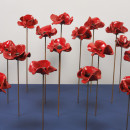 Sixteen ceramic poppies from ‘Blood Swept Lands and Seas of Red’