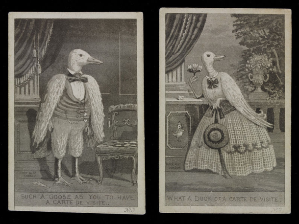 Two satirical prints showing a goose and a duck posing for carte de visite photographs