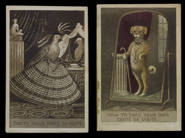 Two satirical prints showing a parrot and a dog posing for carte de visite photographs