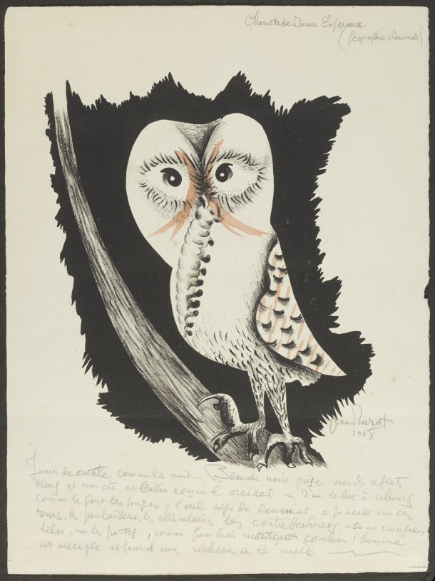 ‘Chouette de Bonne Esperance’, proof illustration from 'Géographie Animale', hand-coloured lithograph by Jean Lurçat, France, 1948. Museum no. E.246-1994. ©Jean Lurçat/Victoria and Albert Museum.
