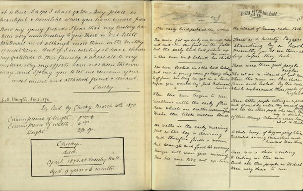 The Autobiography of Chicky, 1876, AAD/1998/6/10 © Victoria and Albert Museum, London