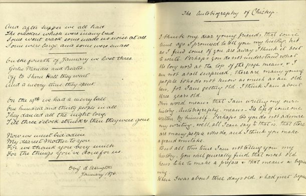 The Autobiography of Chicky the chicken, 1876 © Victoria and Albert Museum, London
