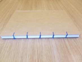 Coptic binding model