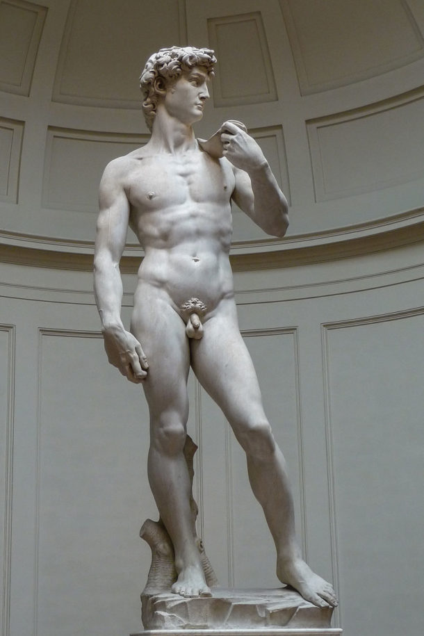 Michelangelo's David, 1501-1504, Galleria dell'Accademia (Florence). Photograph by Jörg Bittner Unna