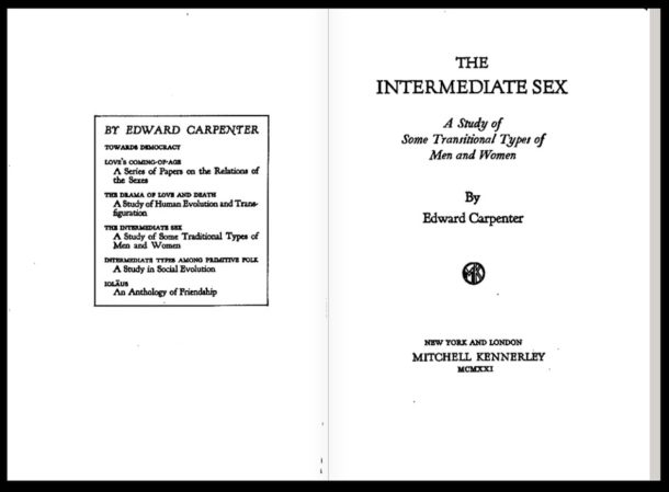 intermed