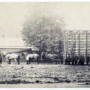 The case and van transporting the Raphael Cartoons from Hampton Court to South Kensington in May 1865. Photo: Anon. (Museum No. 44413)