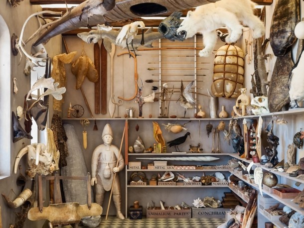 All Things Strange And Beautiful, an installation by artist Rosamond Purcell inspired by Ole Worm’s Museum Wormianum. Photograph: Jens Astrup/Natural History Museum of Denmark