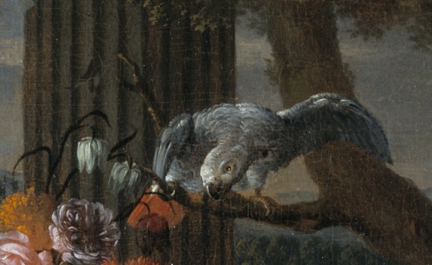DETAIL OF PARROT: STILL LIFE WITH FRUIT, A PARROT AND MRMOSETS Signed on stone slab lower right Joan Paulo Gillemans f Canvas Museum no. 513-1870 Bequeathed by John M. Parsons