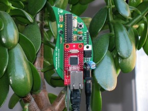 Botanicalls sensor